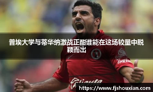zoty中欧官网